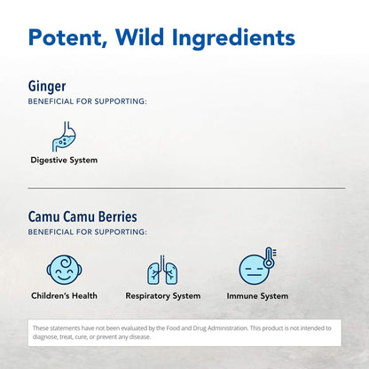 Inflam-EEZ by North American Herb & Spice - 90 VegiCaps | Immune & Inflammation Support