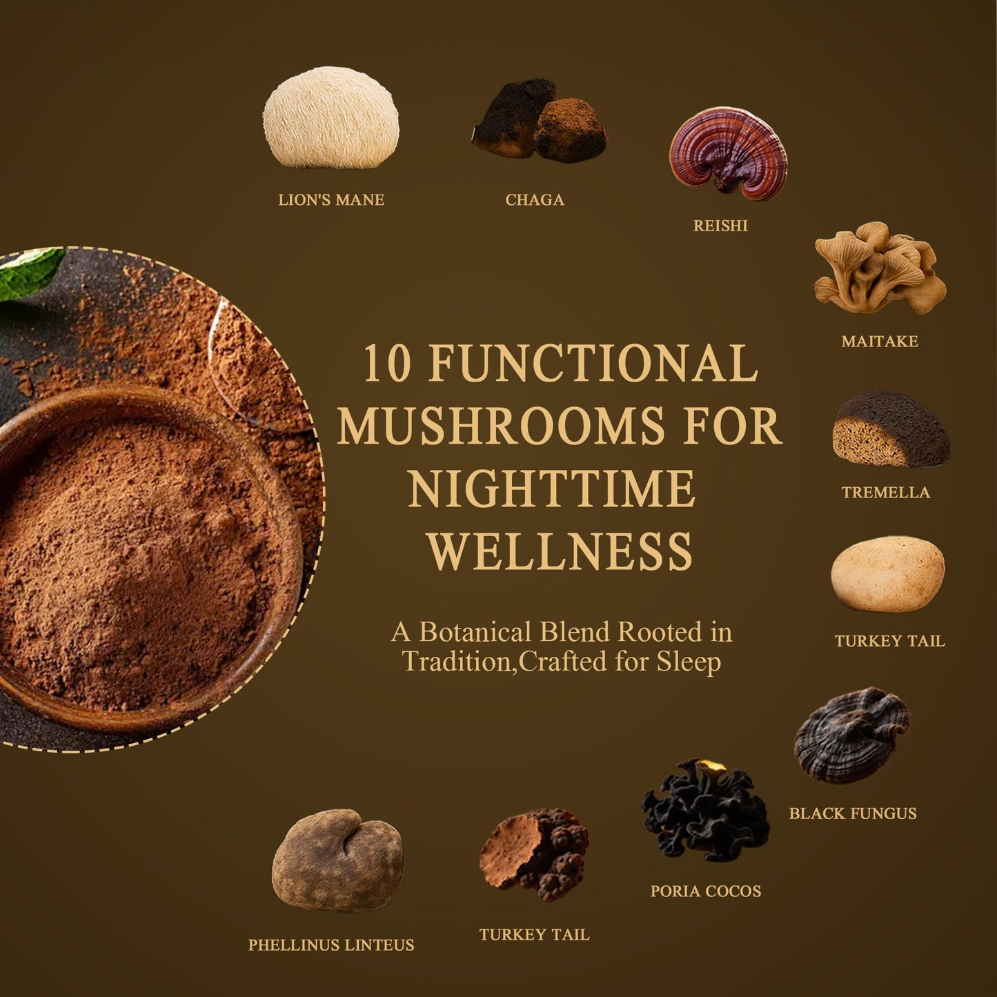 Mushroom Hot Chocolate – Calm Coffee Alternative | 10 Mushrooms, Vegan & Keto | 8.5 oz