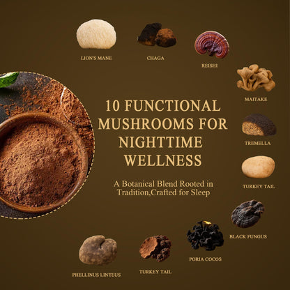 Mushroom Hot Chocolate – Calm Coffee Alternative | 10 Mushrooms, Vegan & Keto | 8.5 oz