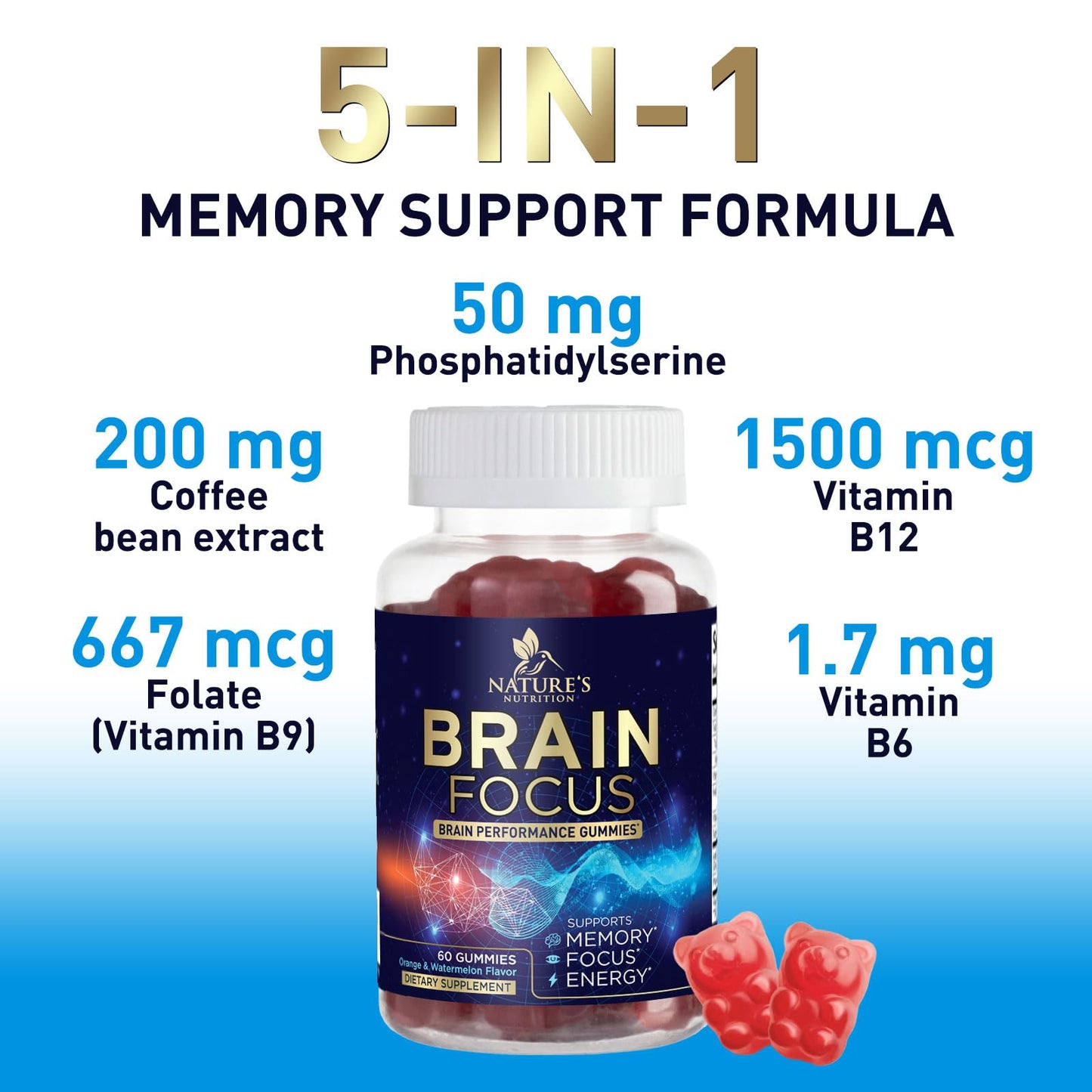 Brain Memory & Focus Gummies with Phosphatidylserine, B6 & B12