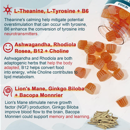 11-IN-1 Brain Supplement for Memory & Focus - 2 Packs | Neviss