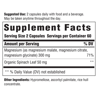 INNATE Magnesium 300 mg – Muscle Relaxation Supplement | Vegetarian & Gluten-Free | 120 Capsules (60 Servings)