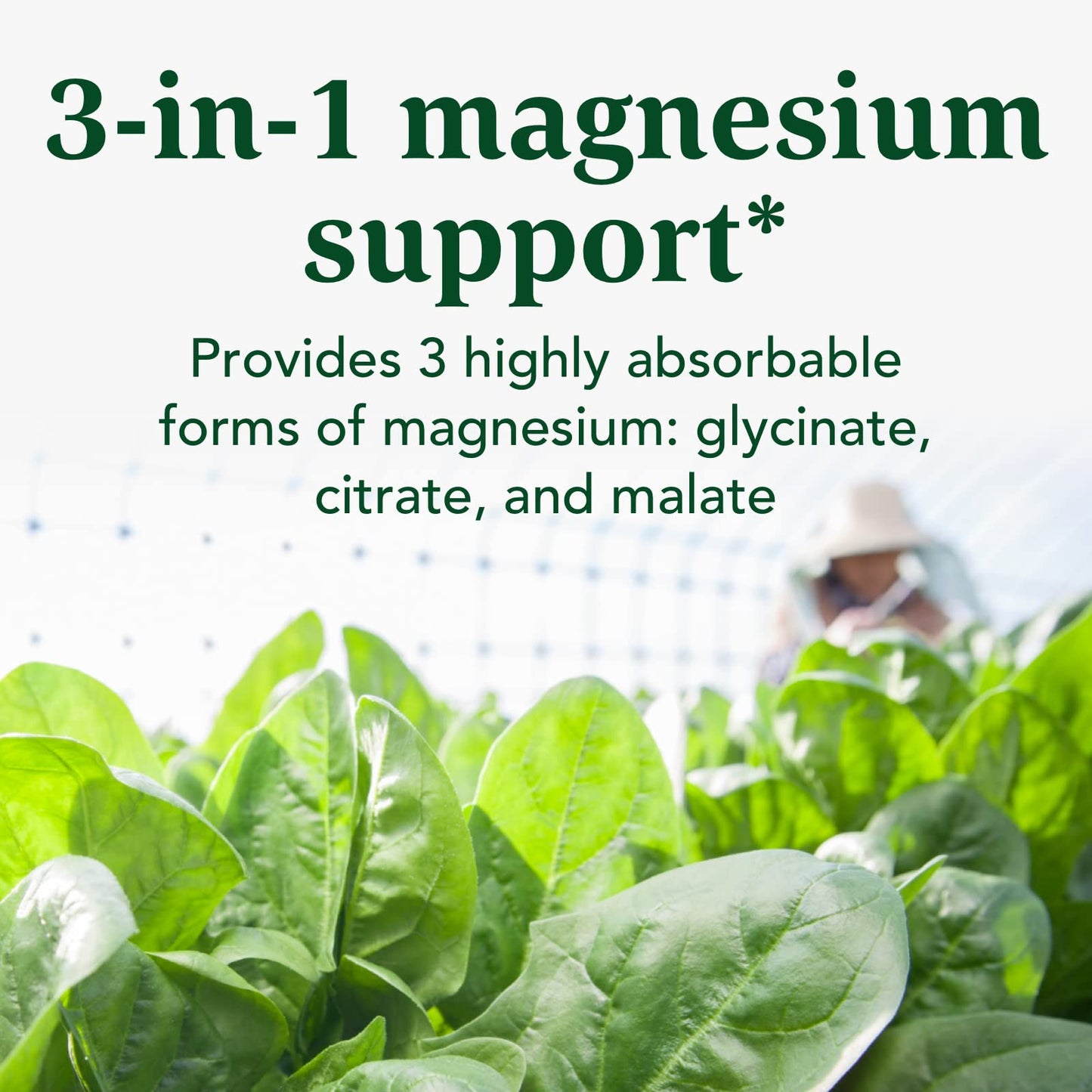 INNATE Magnesium 300 mg – Muscle Relaxation Supplement | Vegetarian & Gluten-Free | 120 Capsules (60 Servings)
