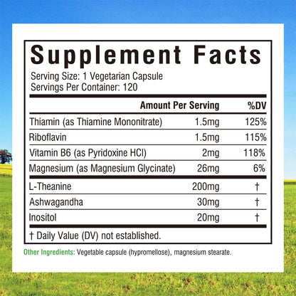 Innate Vitality L-Theanine 200 mg – 7-in-1 Sleep & Focus Support, 120 Capsules