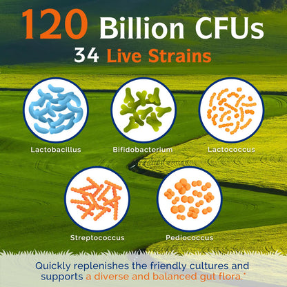Innate Vitality Probiotics 120B CFUs – 34 Strains, Delayed Release, Shelf Stable