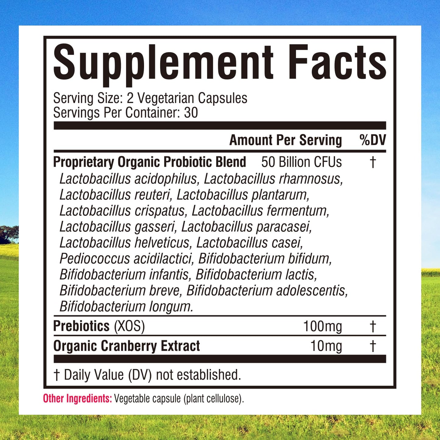 Innate Vitality Probiotics for Women - 50B CFU, 17 Strains, 60 Veggie Caps, Non-GMO, Prebiotics & Cranberry