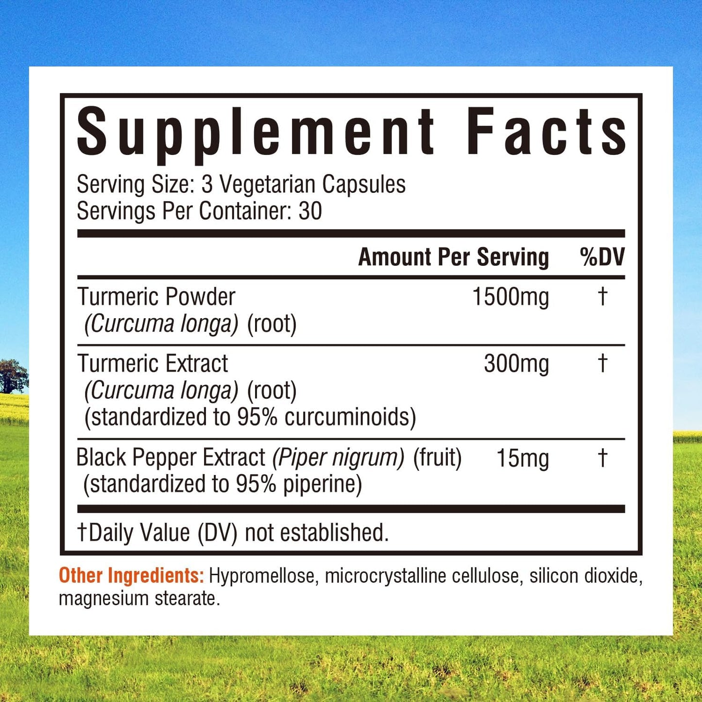 Innate Vitality Turmeric Curcumin 1800mg with Black Pepper – 90 Capsules