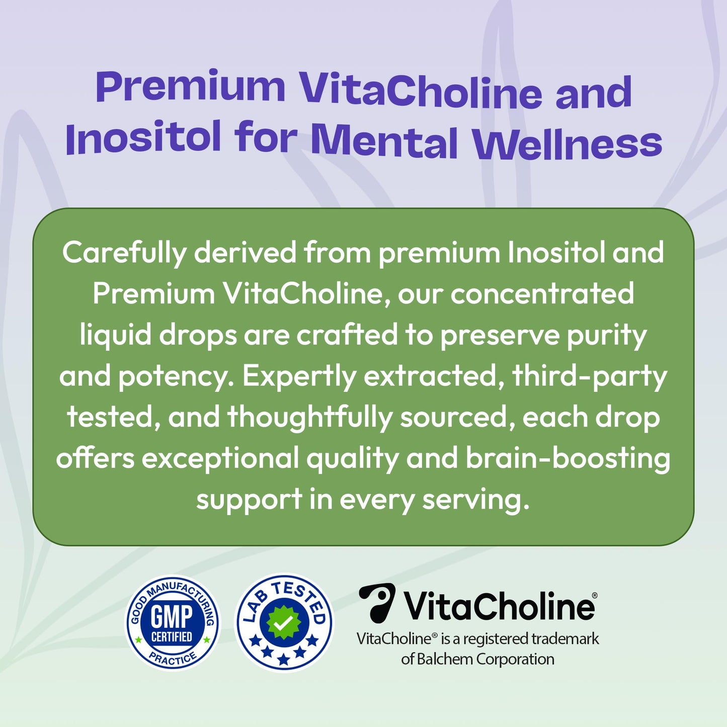 Inositol & Choline Liquid Drops – Vegan, Non-GMO, Enhanced Absorption (60ml) – Prenatal Wellness