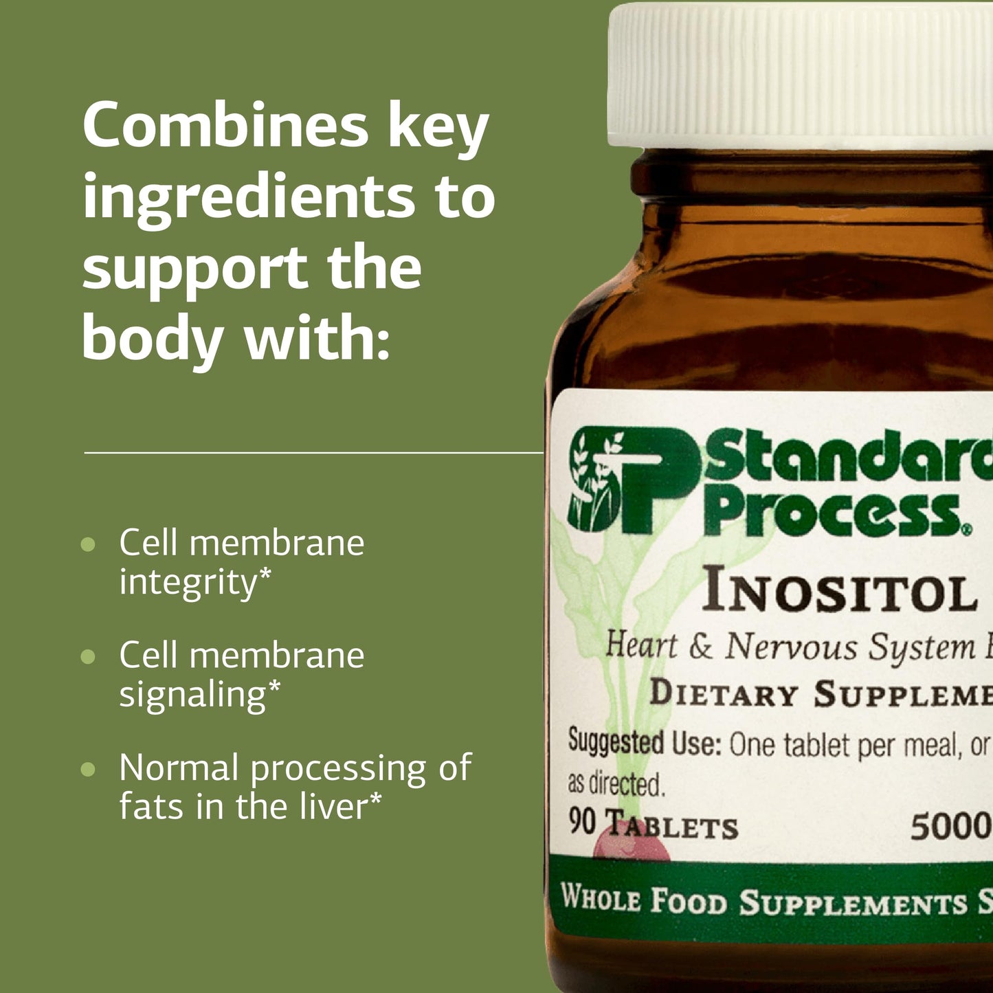 Standard Process Inositol 90 Tablets – Nervous System, Lipid & Heart Health