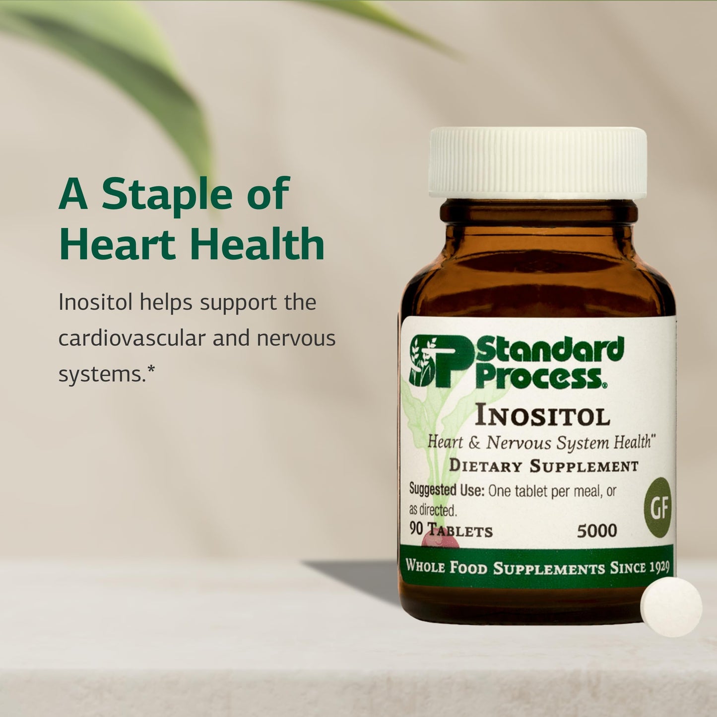 Standard Process Inositol 90 Tablets – Nervous System, Lipid & Heart Health