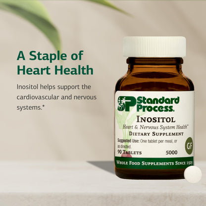 Standard Process Inositol 90 Tablets – Nervous System, Lipid & Heart Health