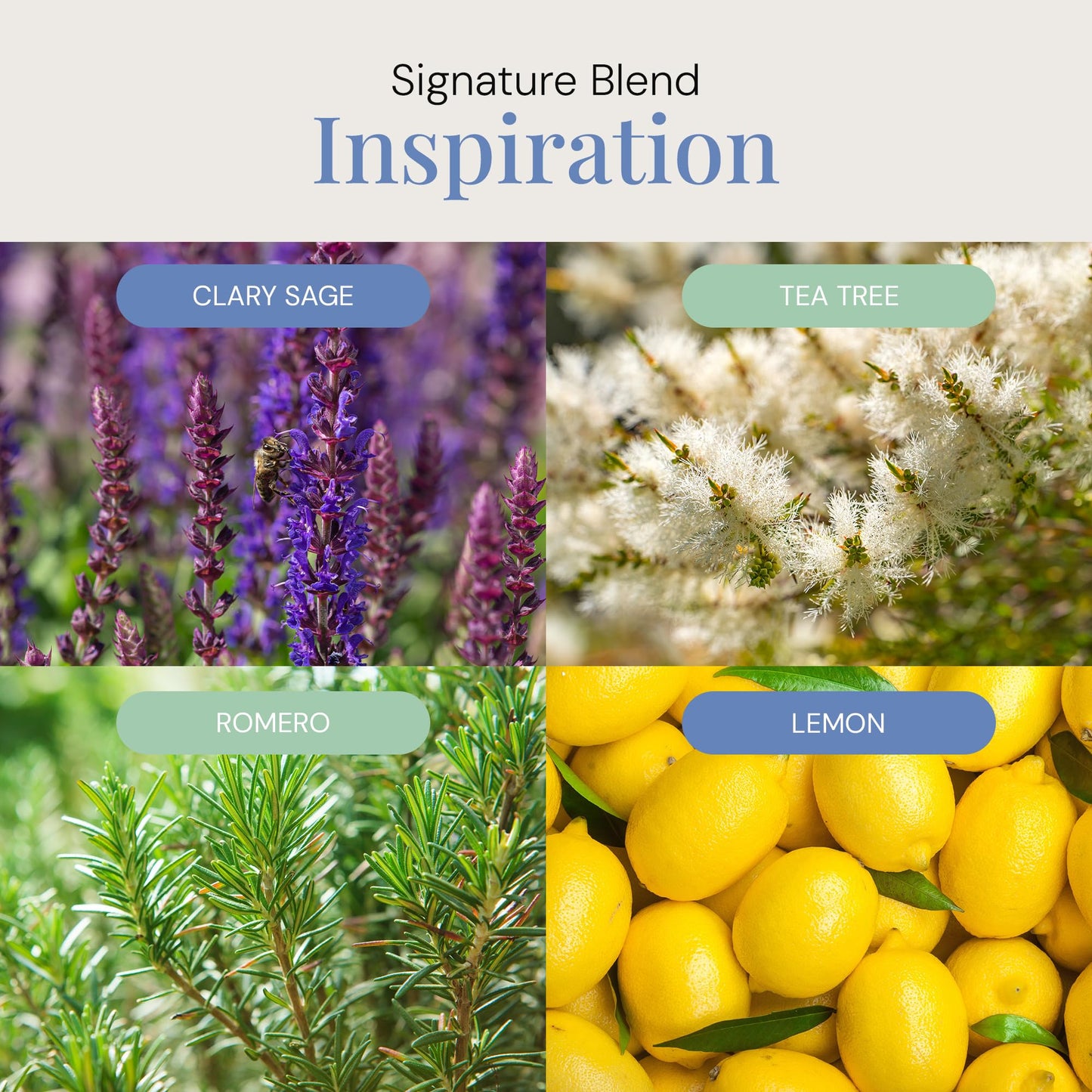 Inspiration Aroma Oil | Diffuser Blend — Zesty Citrus & Florals, 300 mL