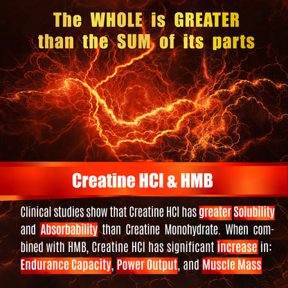Creatine HCl Capsules with HMB – Muscle, Endurance & Strength | 180 Vegan Capsules