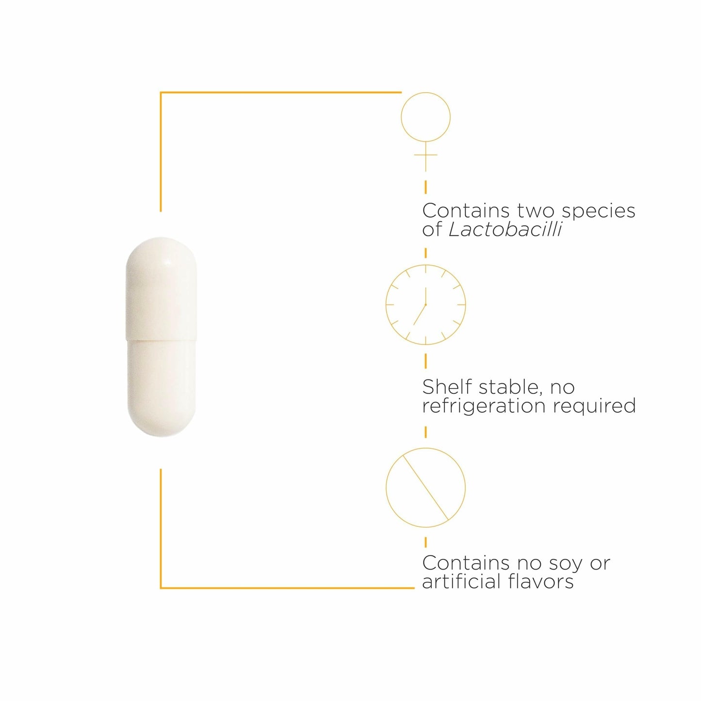Integrative Therapeutics Pro-Flora Women’s Probiotic – Vaginal Health Probiotic – Supports Urogenital Health in Women* – Gluten-Free – 30 Capsules