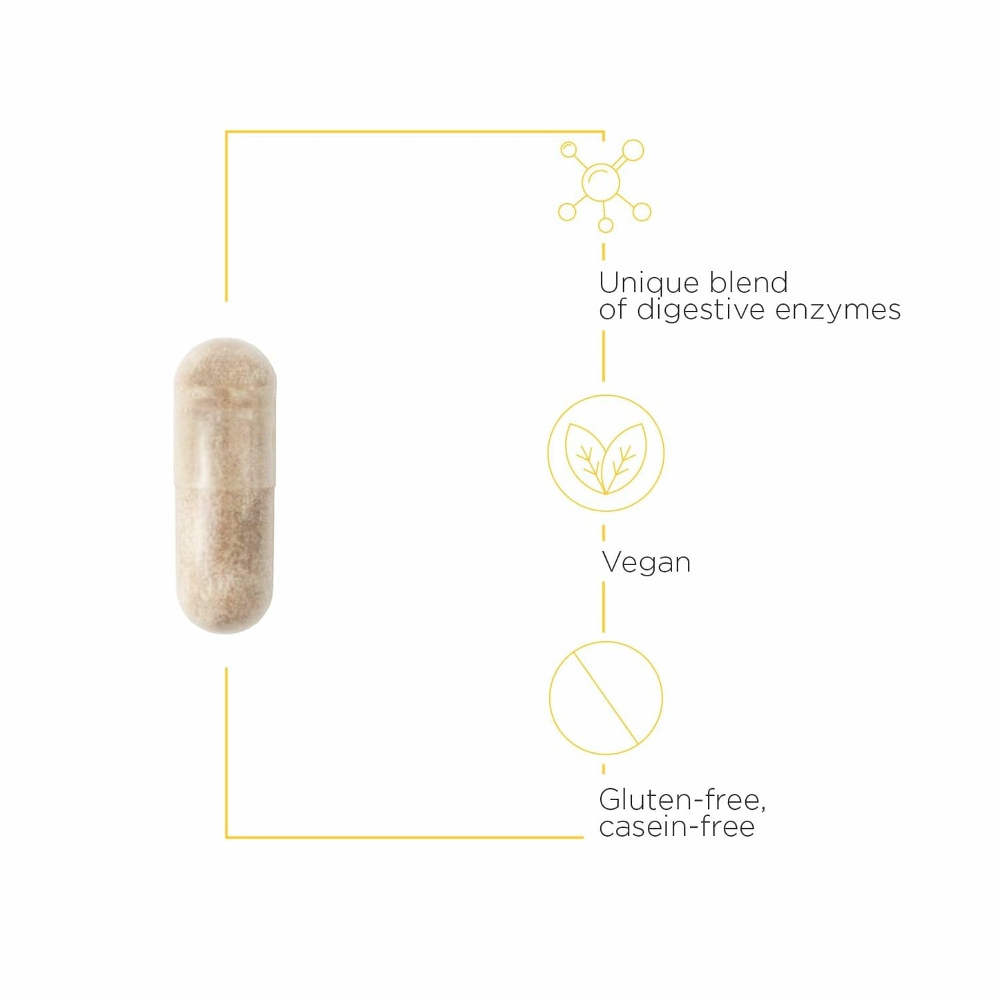 Similase GFCF – Digestive Enzymes for Gluten & Casein Digestion (Dairy-Free) | Integrative Therapeutics