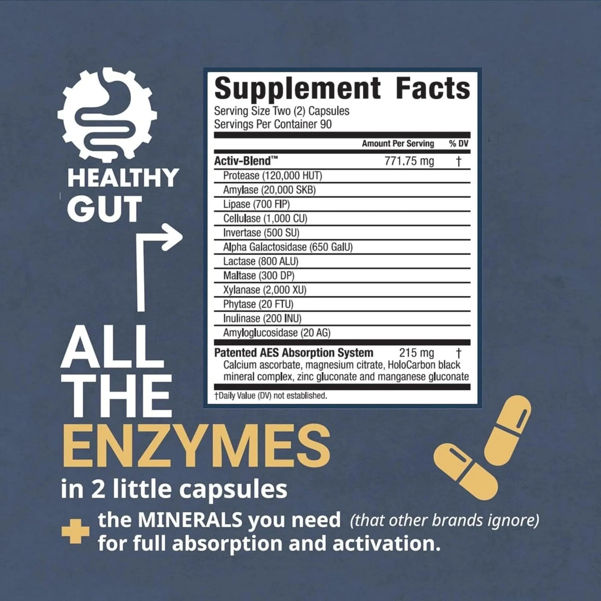 Healthy Gut HoloZyme Max Strength Digestive Enzymes | FODMAP Support with Inulinase, Amyloglucosidase & Invertase | 90 Servings BritishVita | Premium UK Vitamins & Wellness Supplements