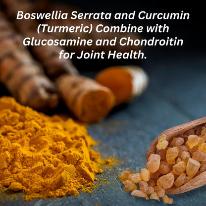 INVIGOFLEX AMPM – Glucosamine & Chondroitin, Turmeric Curcumin, Boswellia | 24-Hour Joint Support