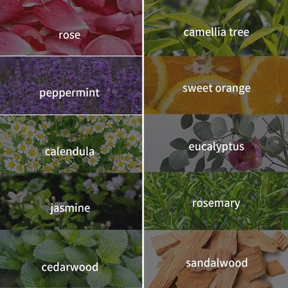 Invnd Rosemary Fragrance Oil – Aromatherapy Diffuser Oil for Massage, Bath & Spa