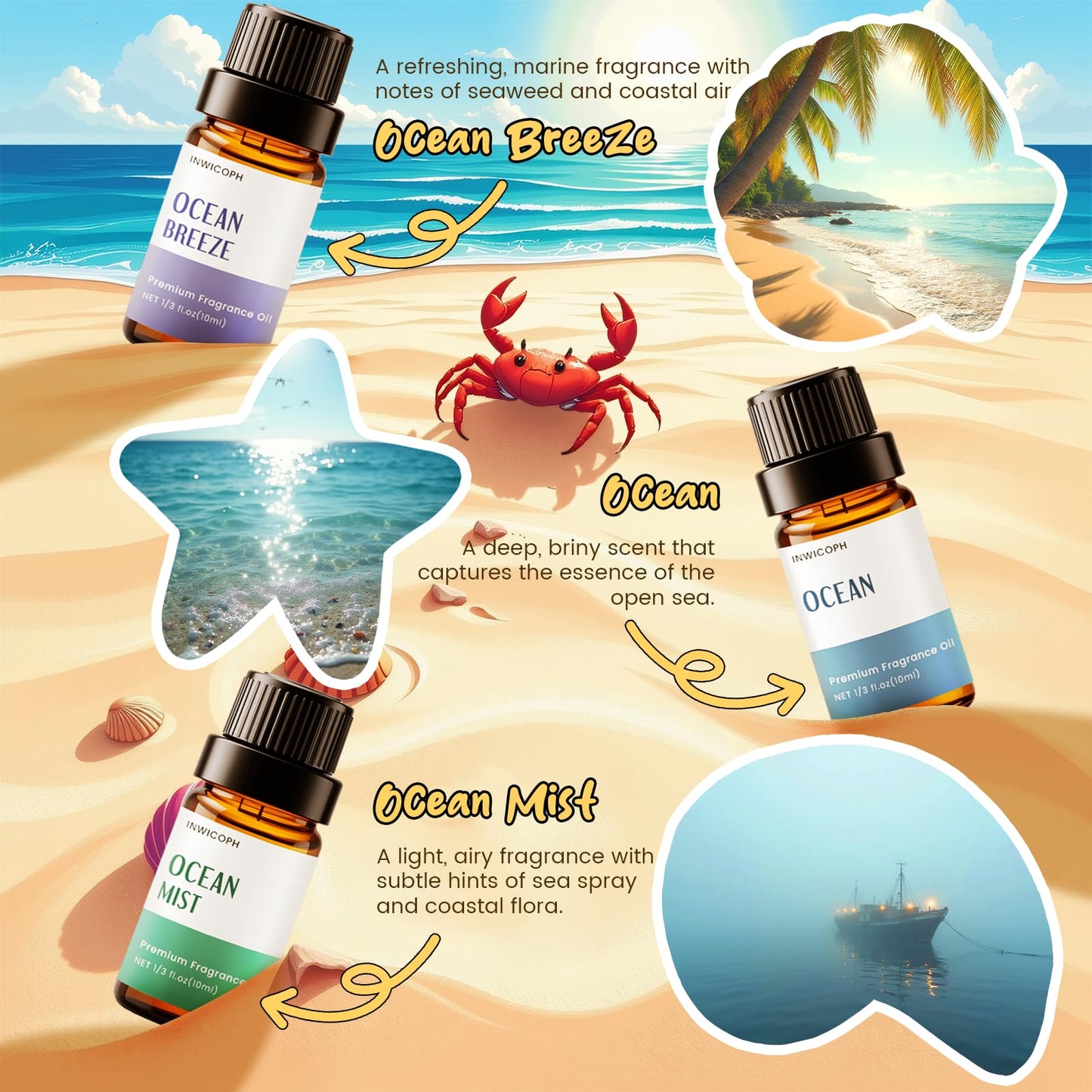 INWICOPH Beach Fragrance Oil Set – 6x10ml for Diffusers, Candles & Soaps