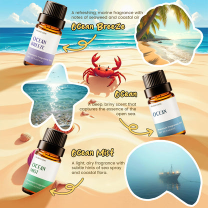 INWICOPH Beach Fragrance Oil Set – 6x10ml for Diffusers, Candles & Soaps