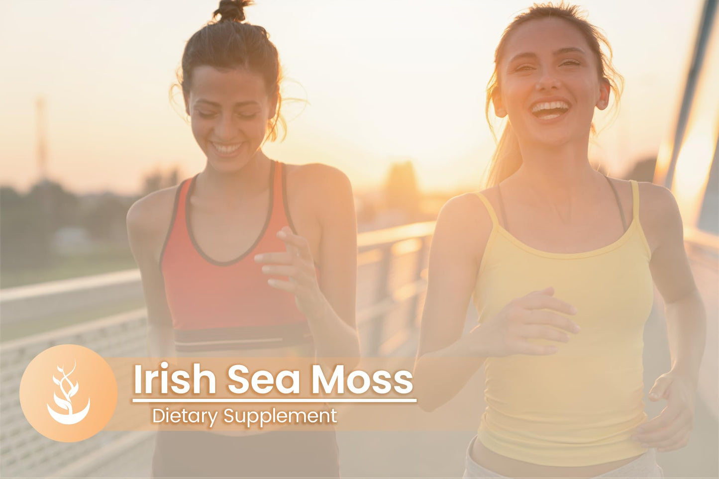 Irish Sea Moss (100 Capsules) - Pure Original, No Additives, Lab Verified