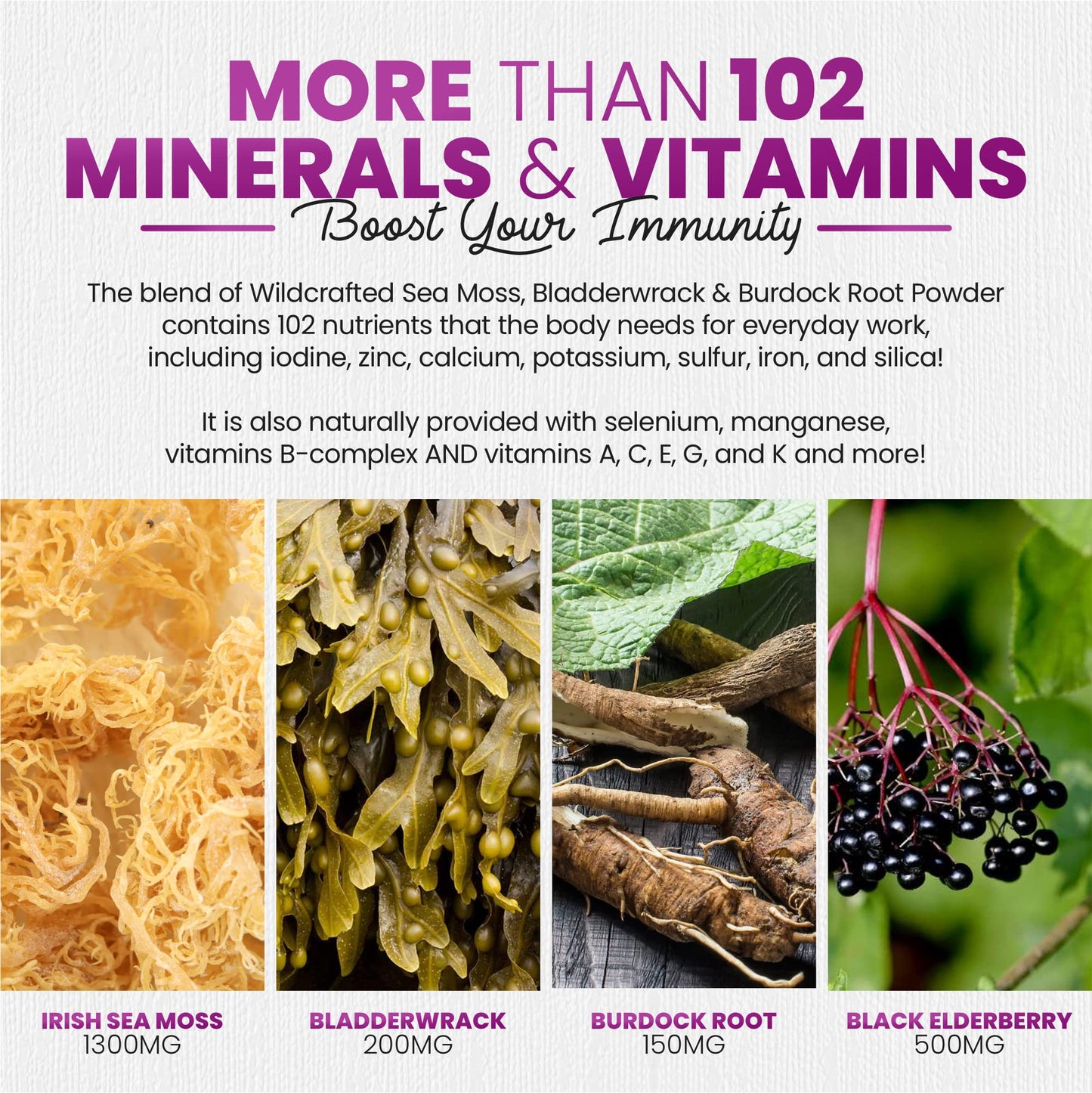 Irish Sea Moss Gummies with Elderberry & Black Seed Oil - 60 Gummies | Raspberry Flavor for Overall Wellness