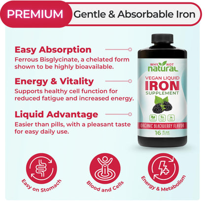 Liquid Iron Supplement – Ferrous Bisglycinate, Vegan, Blackberry 16 oz