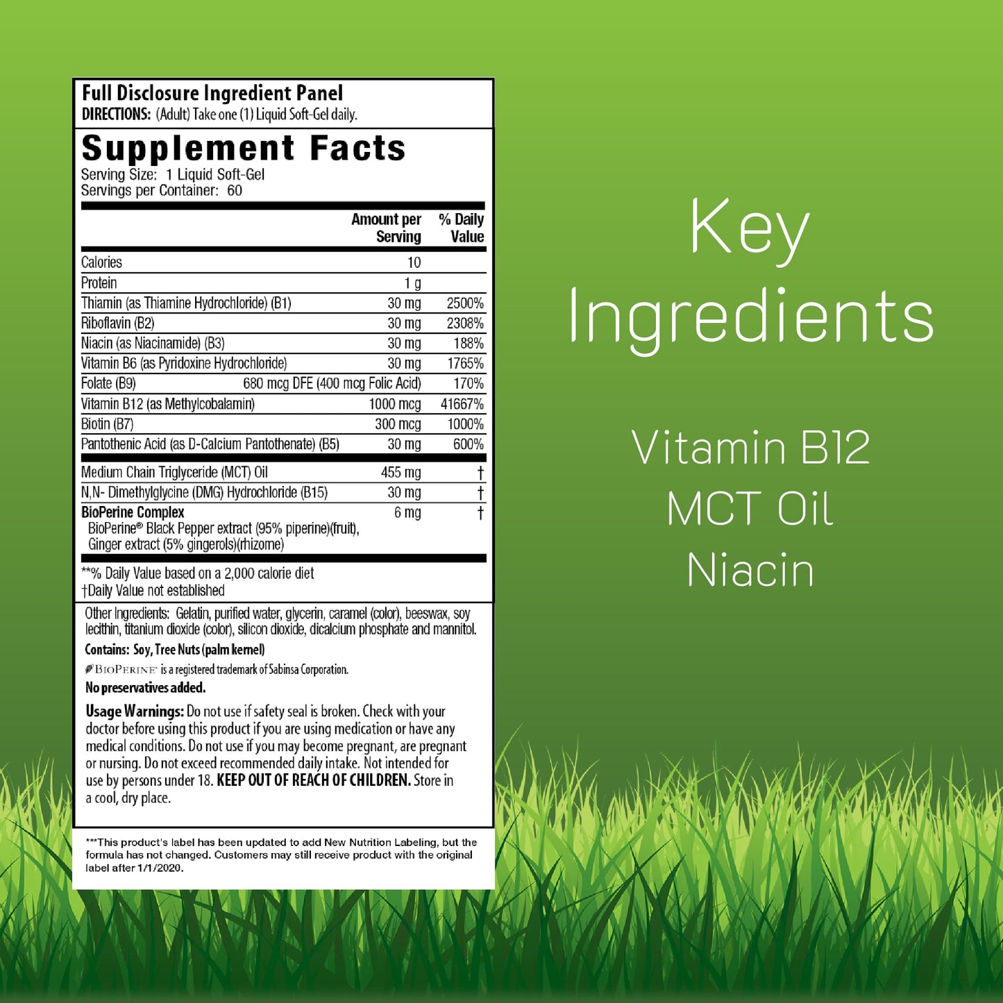 Irwin Naturals Mega B-Complex - 60 Liquid Softgels | High Potency B Vitamins with MCTs