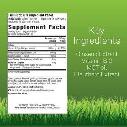 Irwin Naturals One-Per-Day Mega B-12 1500 mcg | Methylcobalamin Vitamin | Fast Absorption