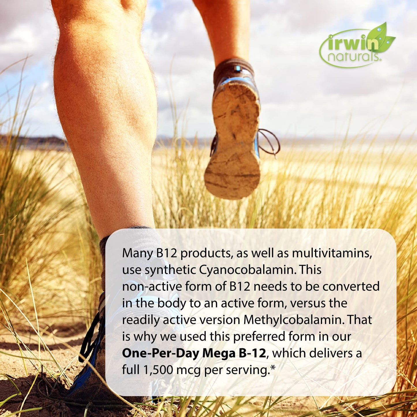 Irwin Naturals One-Per-Day Mega B-12 1500mcg – Fast-Absorption Methylcobalamin, MCT + Asian Ginseng | 60 Liquid Softgels