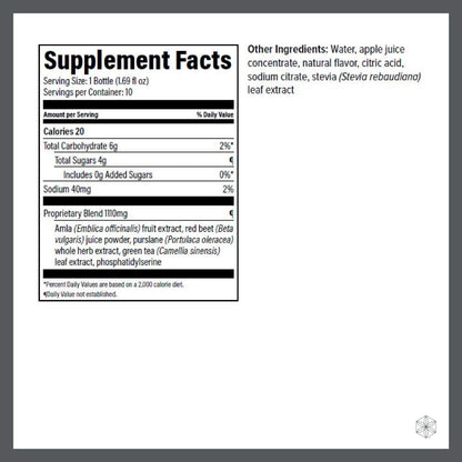 Isagenix Nootropic Elixir – Brain Health & Focus Supplement | Green Tea Extract | 1.69 oz Bottles (10 Count)