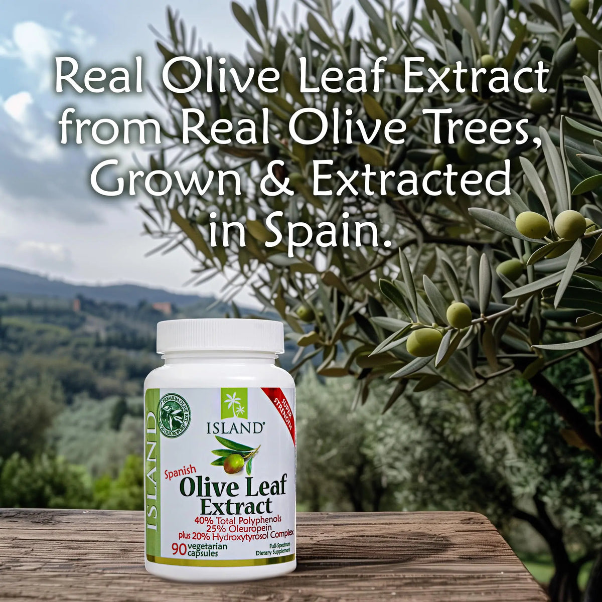 Island Nutrition Olive Leaf Extract Capsules – 25% Oleuropein, 40% Polyphenols, 20% Hydroxytyrosol Complex – 90 Capsules, Spain-Grown BritishVita | Premium UK Vitamins & Wellness Supplements