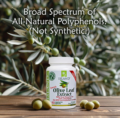 Island Nutrition Olive Leaf Extract Capsules – 25% Oleuropein, 40% Polyphenols, 20% Hydroxytyrosol Complex – 90 Capsules, Spain-Grown BritishVita | Premium UK Vitamins & Wellness Supplements