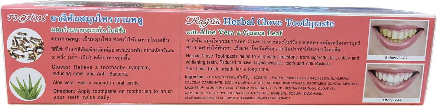 Isme Rasyan Herbal Clove Toothpaste with Aloe Vera & Guava Leaf, 100 g, White