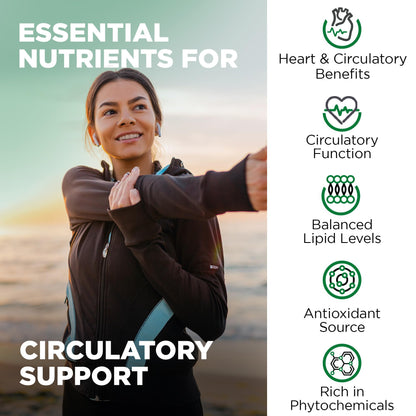 Nutrivein Premium Citrus Bergamot Supplement 1400mg 25:1 Bergamia Extract – 60 Day Supply (120 Capsules) | Heart & Circulatory Support