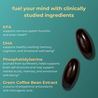 Iwi Life Brain Omega-3 – 60 Softgels, Vegan Algae EPA+DHA for Focus, Memory & Mood