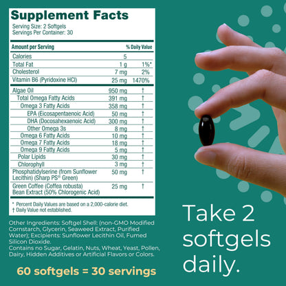 Iwi Life Brain Omega-3 – 60 Softgels, Vegan Algae EPA+DHA for Focus, Memory & Mood