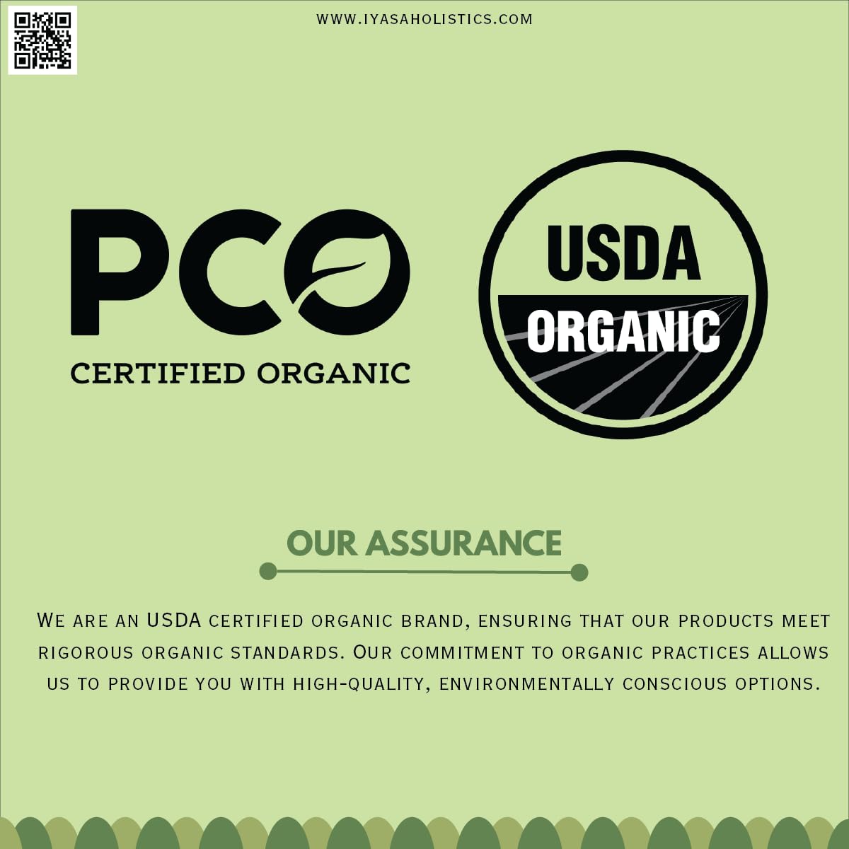 Iyasa Holistics Organic Licorice Root Powder – 8 oz / 227 g | Mulethi, Glycyrrhiza glabra, Natural Expectorant & Candy Flavoring