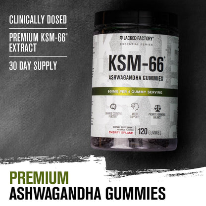 Jacked Factory Ashwagandha Gummies – KSM-66 600mg per Serving | 120 Gummies, Cherry Splash