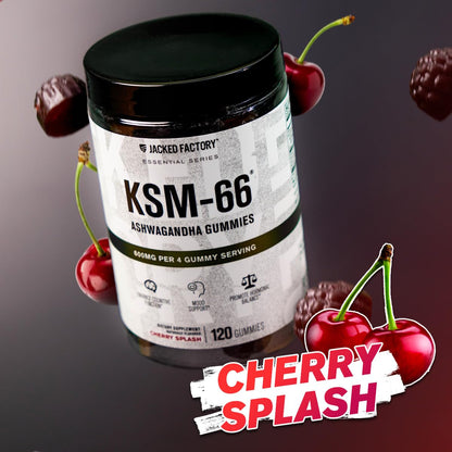 Jacked Factory Ashwagandha Gummies – KSM-66 600mg per Serving | 120 Gummies, Cherry Splash
