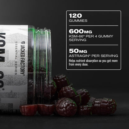 Jacked Factory Ashwagandha Gummies – KSM-66 600mg per Serving | 120 Gummies, Cherry Splash
