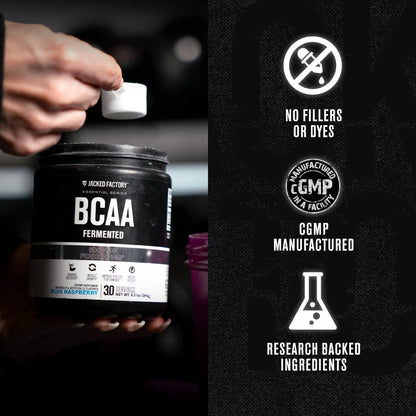 Jacked Factory BCAA Powder (Fermented) – 6g BCAAs (2:1:1) for Muscle Recovery, 30 Servings, Fruit Punch