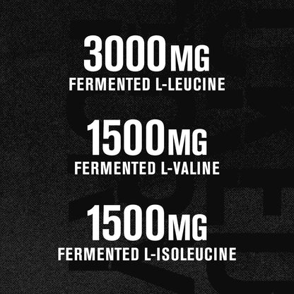 Jacked Factory BCAA Powder (Fermented) – 6g BCAAs (2:1:1) for Muscle Recovery, 30 Servings, Fruit Punch