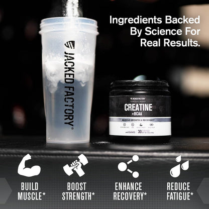 Jacked Factory Creatine + BCAAs – Creatine Monohydrate + BCAA Powder (30 Servings, Unflavored)