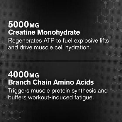 Jacked Factory Creatine + BCAAs – Creatine Monohydrate + BCAA Powder (30 Servings, Unflavored)