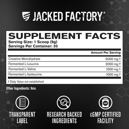 Jacked Factory Creatine + BCAAs – Creatine Monohydrate + BCAA Powder (30 Servings, Unflavored)