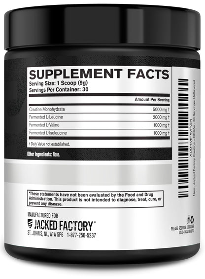 Jacked Factory Creatine + BCAAs – Creatine Monohydrate + BCAA Powder (30 Servings, Unflavored)