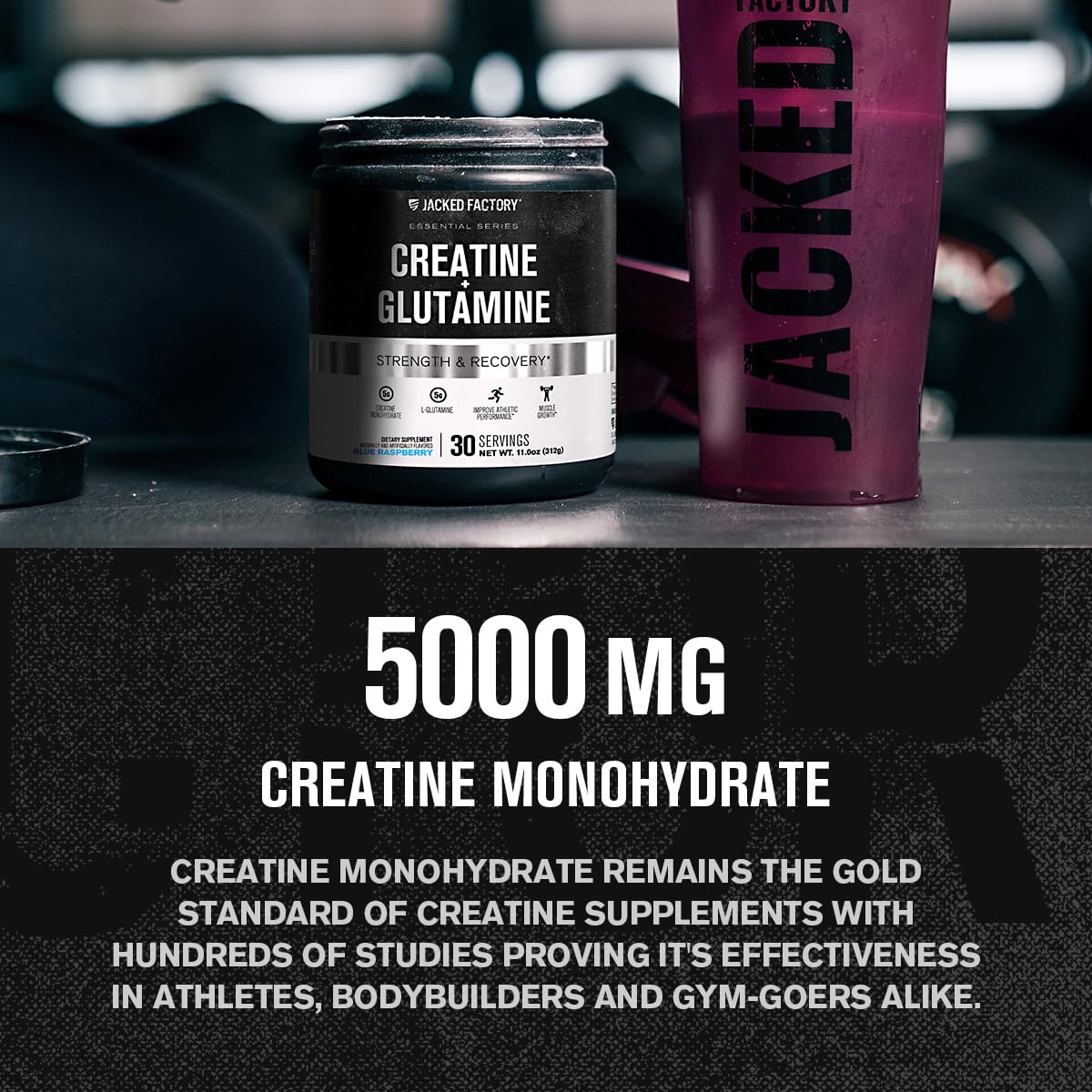 Jacked Factory Creatine + Glutamine – 30 Servings, Blue Raspberry | Muscle Recovery & Strength