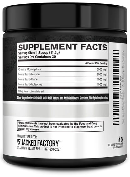 Jacked Factory Creatine + BCAAs – Creatine Monohydrate + BCAA Powder (Blue Raspberry, 30 Servings)