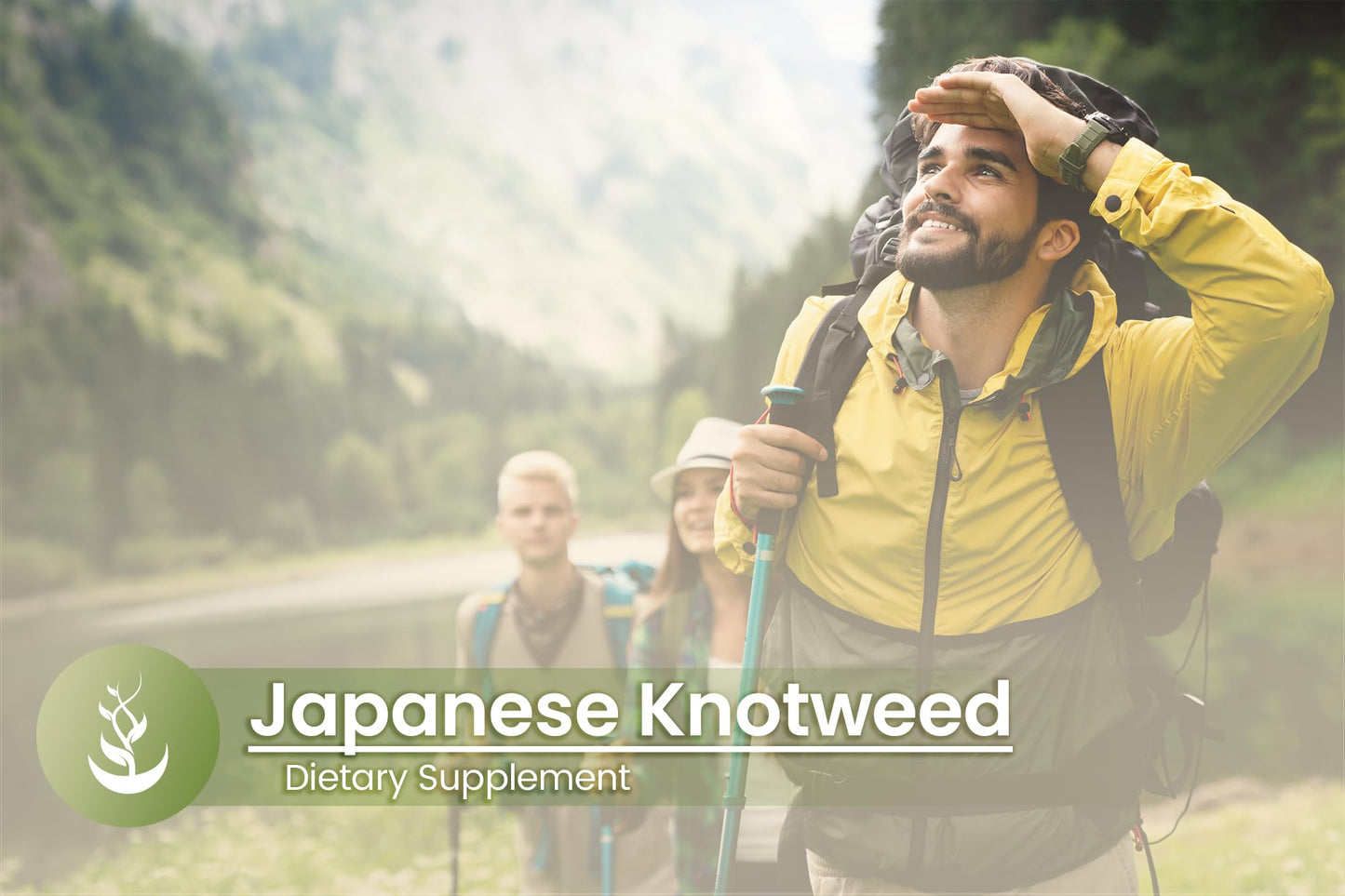 Pure Original Japanese Knotweed Capsules – 100 Count, Pack of 2 | Lab Verified, No Additives